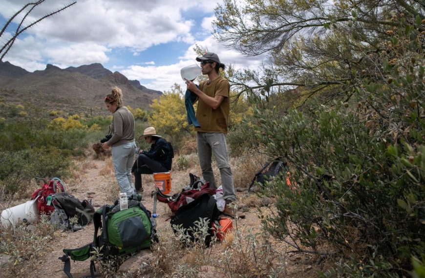 Aumentan las muertes de migrantes en el desierto de Arizona: 73 cuerpos han sido recuperados en 2026