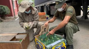 Interpol captura a 233 personas en una operación&hellip;